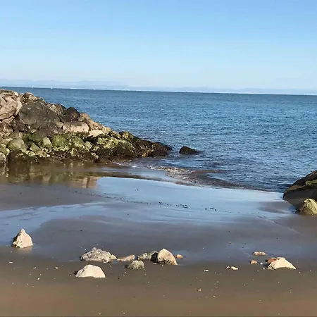 In 54739 Μπιμπιόνε